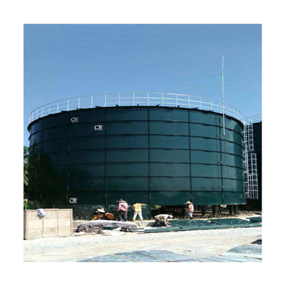 Digestore anaerobico di letame animale Produzione di biogas nel progetto di un impianto di biogas