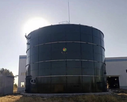 Attrezzatura anaerobica del biogas del digestore di digestione anaerobica di idrolisi