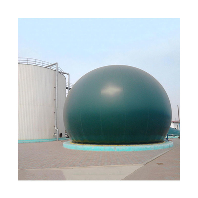 Digestore anaerobico di letame animale Produzione di biogas nel progetto di un impianto di biogas