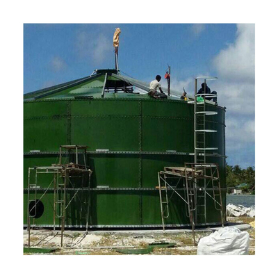 Digestore anaerobico di letame animale Produzione di biogas nel progetto di un impianto di biogas