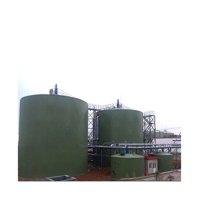 Digestore anaerobico di letame animale Produzione di biogas nel progetto di un impianto di biogas