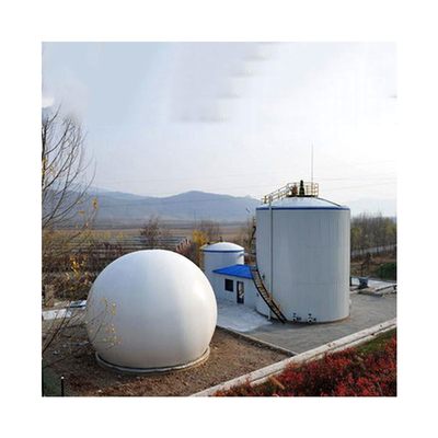 Digestore anaerobico di letame animale Produzione di biogas nel progetto di un impianto di biogas
