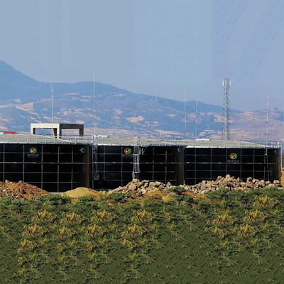 Alta prestazione di sicurezza di smaltimento dei rifiuti del carro armato anaerobico organico del digestore