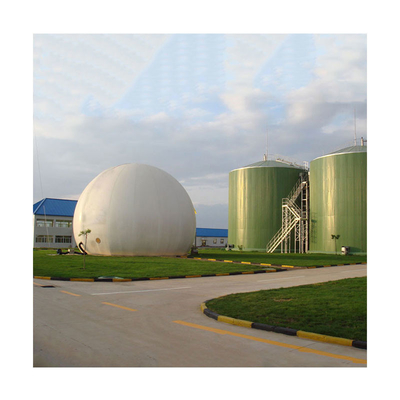Capacità anaerobica del digestore del biogas del carro armato del digestore del concime del maiale