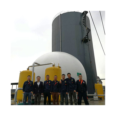 Capacità anaerobica del digestore del biogas del carro armato del digestore del concime del maiale
