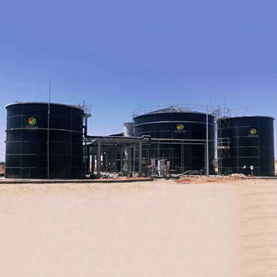 Progetto anaerobico del digestore del biogas anaerobico del reattore di CSTR in Cina