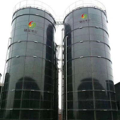 Progetto verde dell'impianto di biogas di digestione anaerobica per il villaggio della città della città