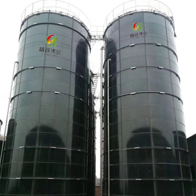 Attrezzatura industriale per la digestione anaerobica con superficie liscia e polacca