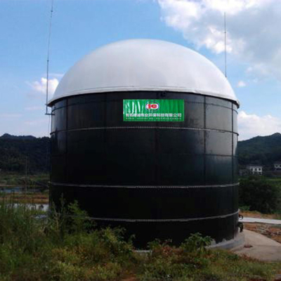 Progetto di produzione del biogas dagli impianti di biogas prefabbricati residui del pollame