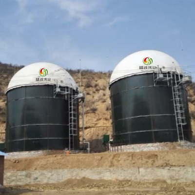 Progetto di produzione del biogas dagli impianti di biogas prefabbricati residui del pollame