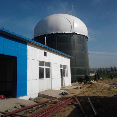 Progettazione del reattore anaerobico nel progetto globale dell'impianto di biogas