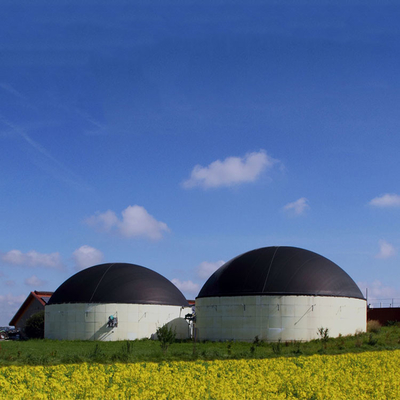 Progetto di impianti di biogas per energie rinnovabili utilizzando la digestione anaerobica