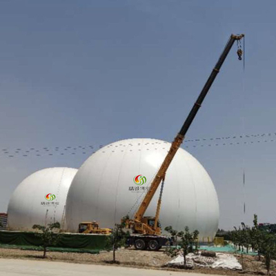 Doppio supporto rotondo su misura del biogas della membrana con la durata della vita lunga