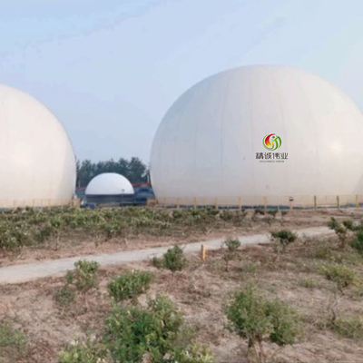 Doppio supporto rotondo su misura del biogas della membrana con la durata della vita lunga