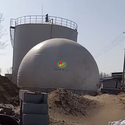 Doppio supporto rotondo del biogas della membrana con il riciclaggio del vantaggio