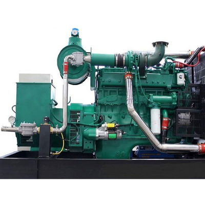 Generatore di energia elettrica a biogas leggero di potenza personalizzata