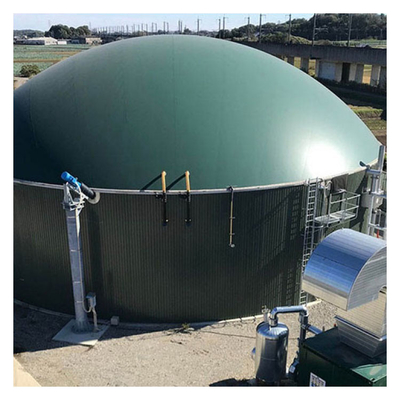 0.5-2.0 mm Serbatoio digestore anaerobico per l'installazione in loco