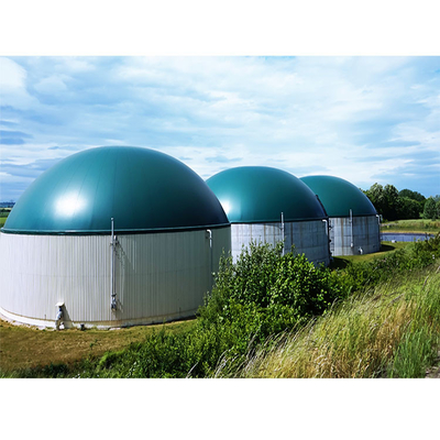 0.5-2.0 mm Serbatoio digestore anaerobico per l'installazione in loco