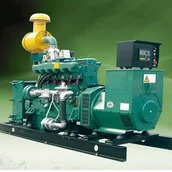 Generatore di energia elettrica a biogas di digestione anaerobica