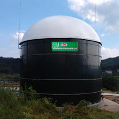 Biogas anaerobico del reattore a letto fluido UASB dal concime del pollo