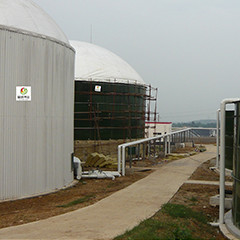 Biogas anaerobico del reattore a letto fluido UASB dal concime del pollo