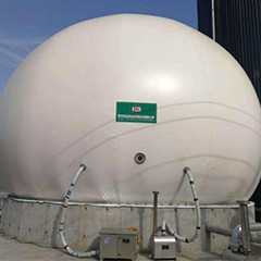 Digestione generale del fango anaerobico di getto del reattore del biogas EGSB per il concime del pollo