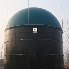 Digestione generale del fango anaerobico di getto del reattore del biogas EGSB per il concime del pollo