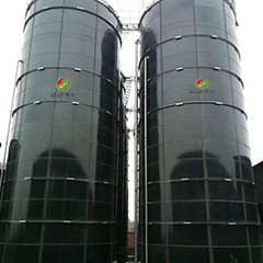 Digestione generale del fango anaerobico di getto del reattore del biogas EGSB per il concime del pollo