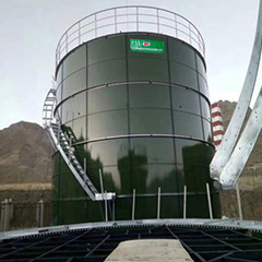 Reattore anaerobico dell'acqua di scarico del biogas con il lotto/la progettazione continua