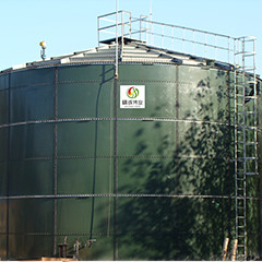 Digestione generale del fango anaerobico di getto del reattore del biogas EGSB per il concime del pollo