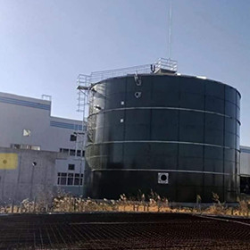 Digestore anaerobico del metano del concime di trattamento delle acque reflue del reattore di EGSB