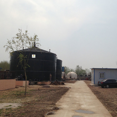 Piccolo pallone di stoccaggio del biogas del metano di progetto dell'impianto di biogas di N2O