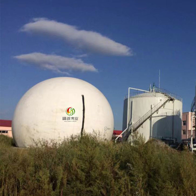 Doppio supporto rotondo del biogas della membrana con il riciclaggio del vantaggio