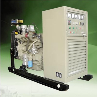 Alternativa generatore elettrico del biogas domestico del generatore del biogas di 100 chilowatt