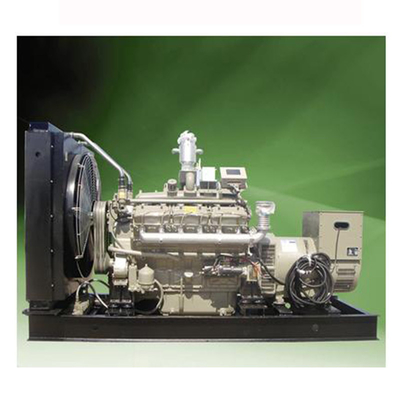 Generatore 50HZ/60HZ di elettricità del biogas del generatore della biomassa 5KW