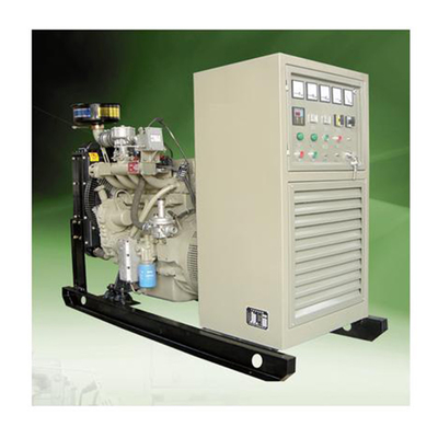 Elettricità del generatore del metano del gruppo elettrogeno 500KW del biogas 10KVA