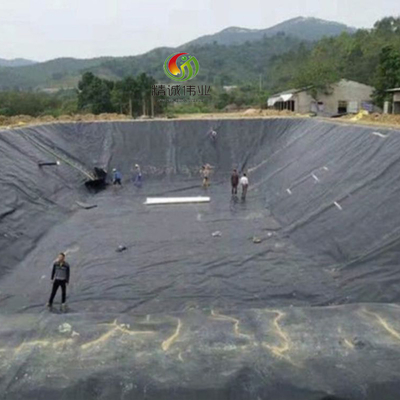 Liner per stagno a geomembrana di HDPE impermeabile Liner di polietilene ad alta densità