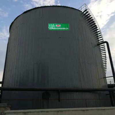 Biogas interno di progetto dell'impianto di biogas di circolazione all'impianto di conversione di CNG