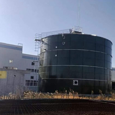 Alto Rate Anaerobic Reactor Anaerobic Fixed reattore del film di EGSB economico
