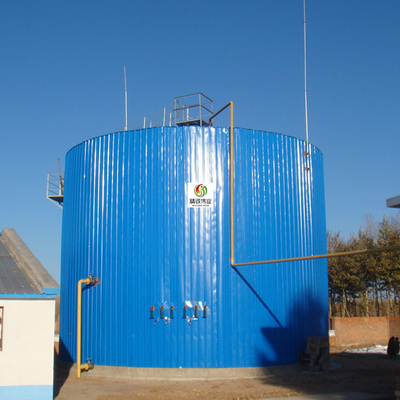 Trattamento delle acque reflue anaerobico dell'attrezzatura di digestione anaerobica del digestore di CSTR